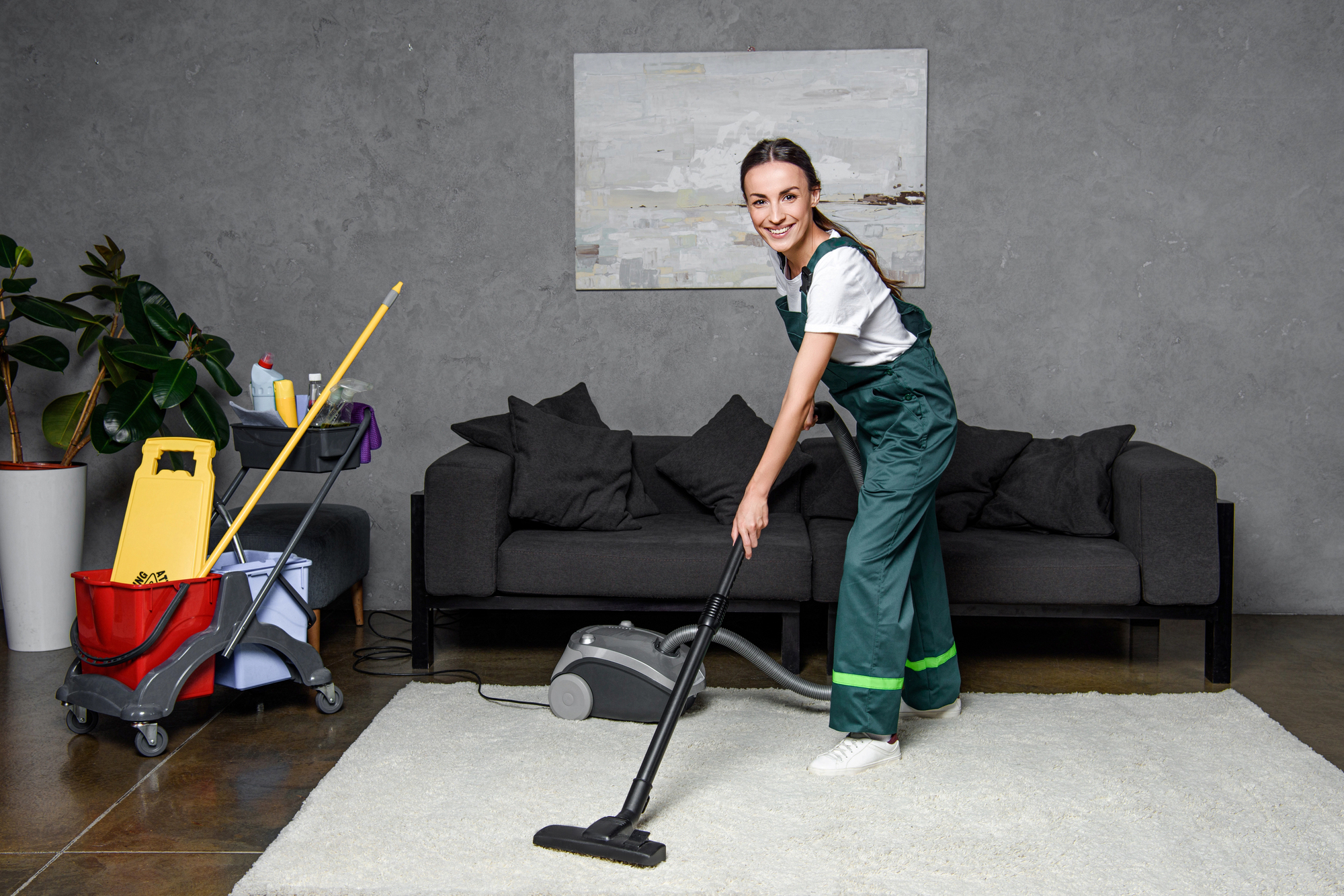 Professional Carpet Cleaning in Sunland