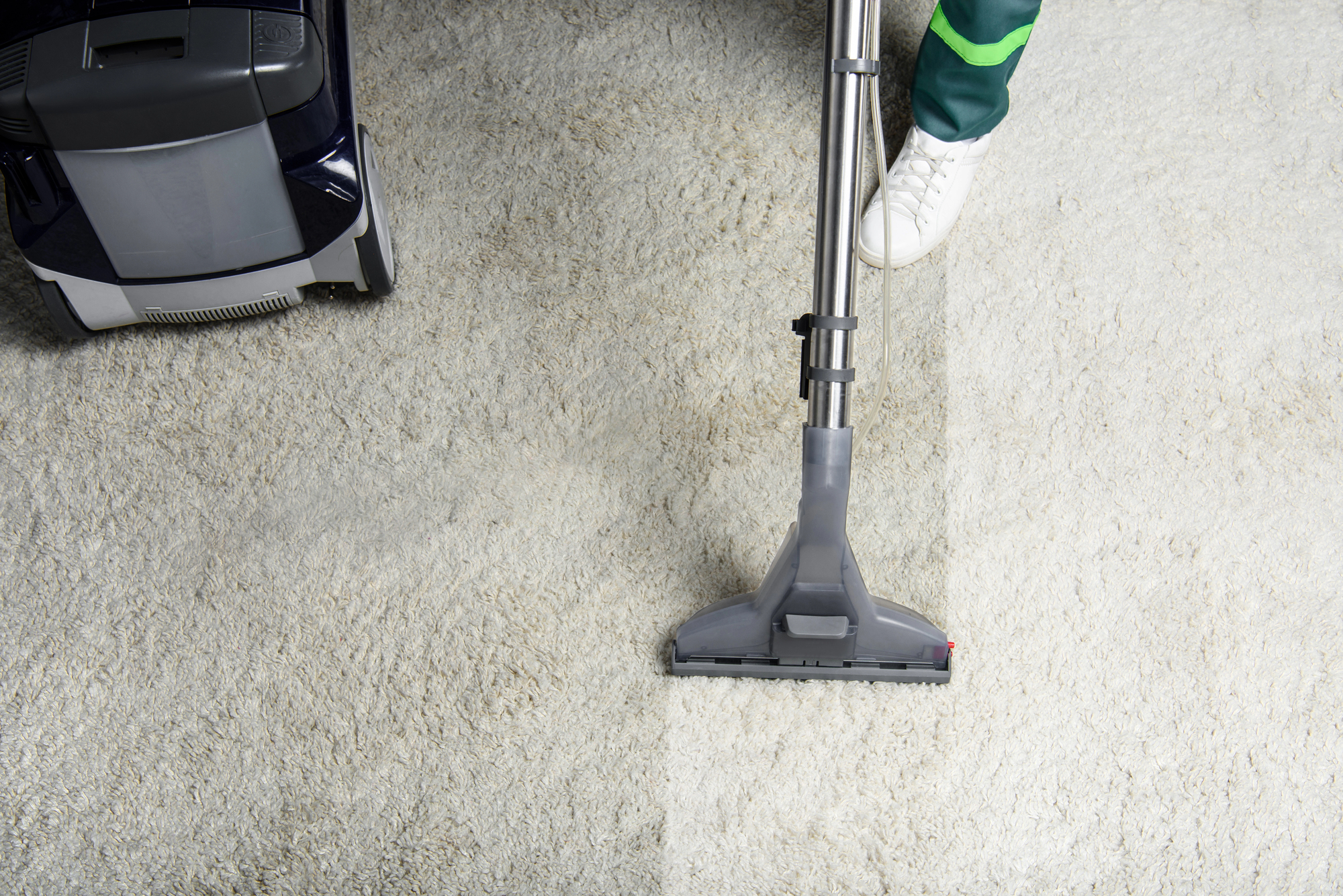Pet Odor Removal